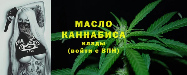 тгк Снежинск