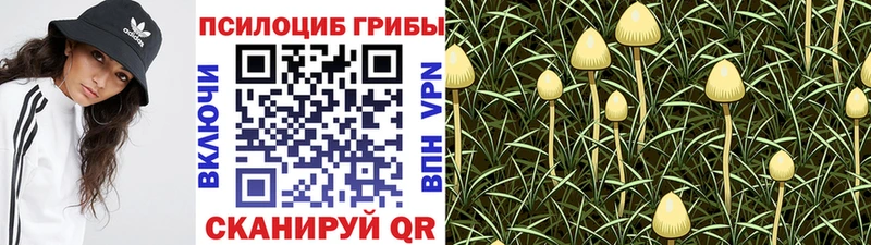 Псилоцибиновые грибы прущие грибы  Киселёвск 